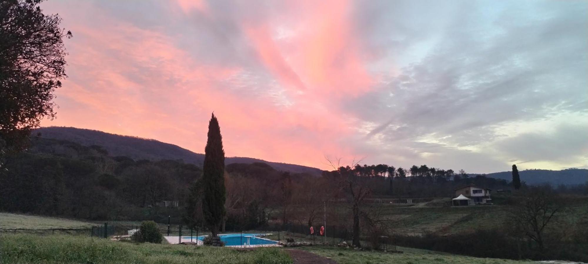 I Salici Agriturismo Badia Agnano Екстер'єр фото